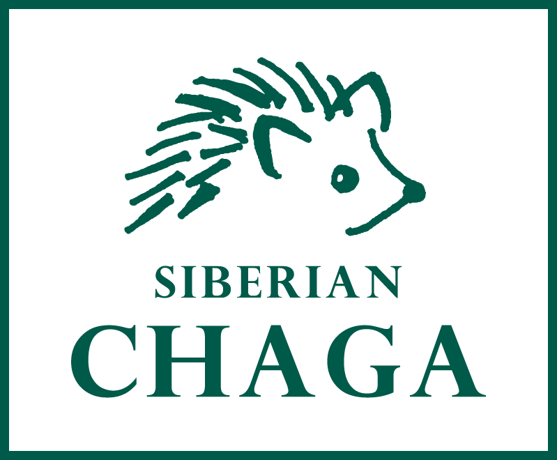 SIBERIAN CHAGA